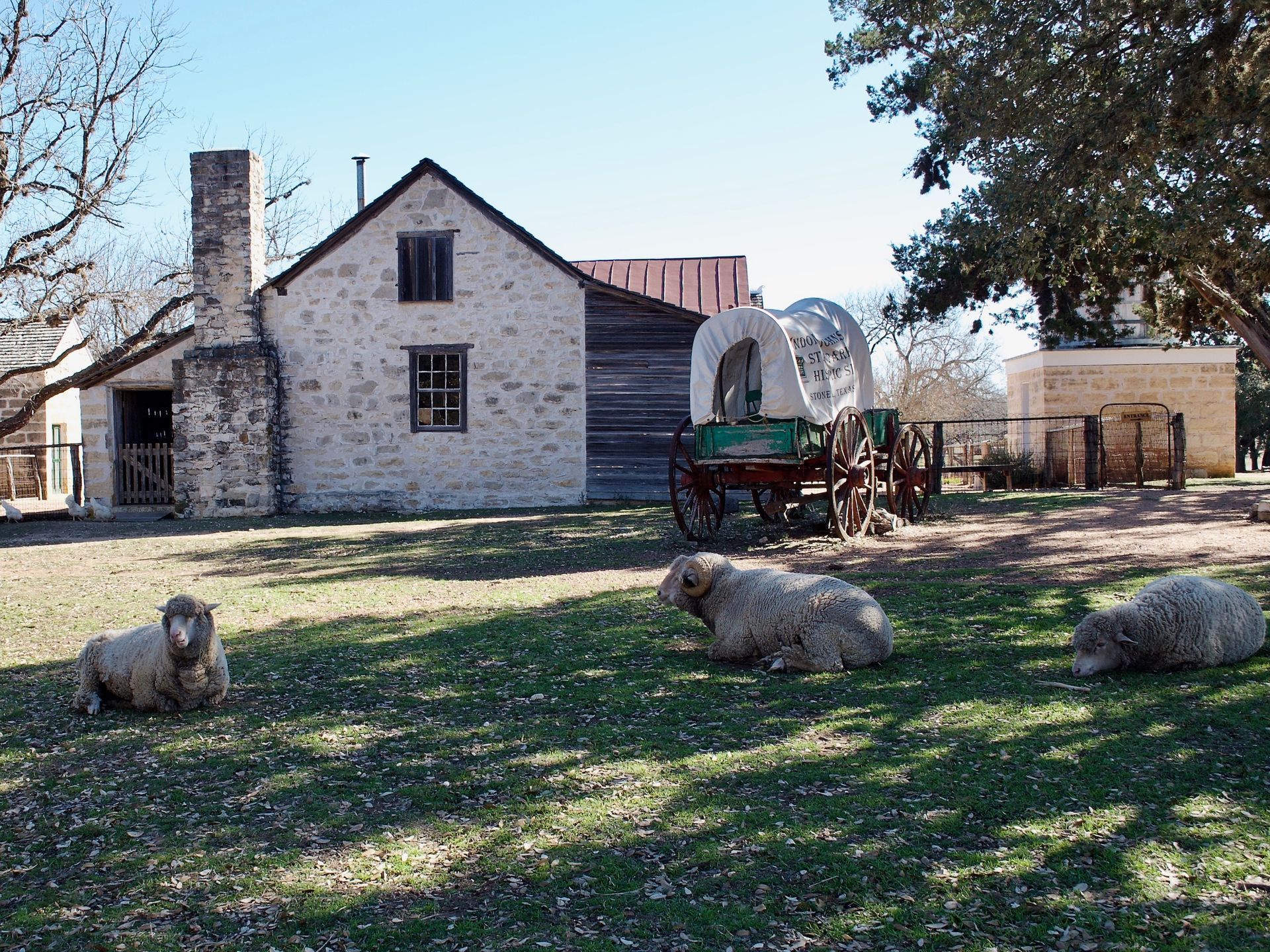 Rustic farmyard with stone house, covered wagon, and sheep resting in a grassy yard