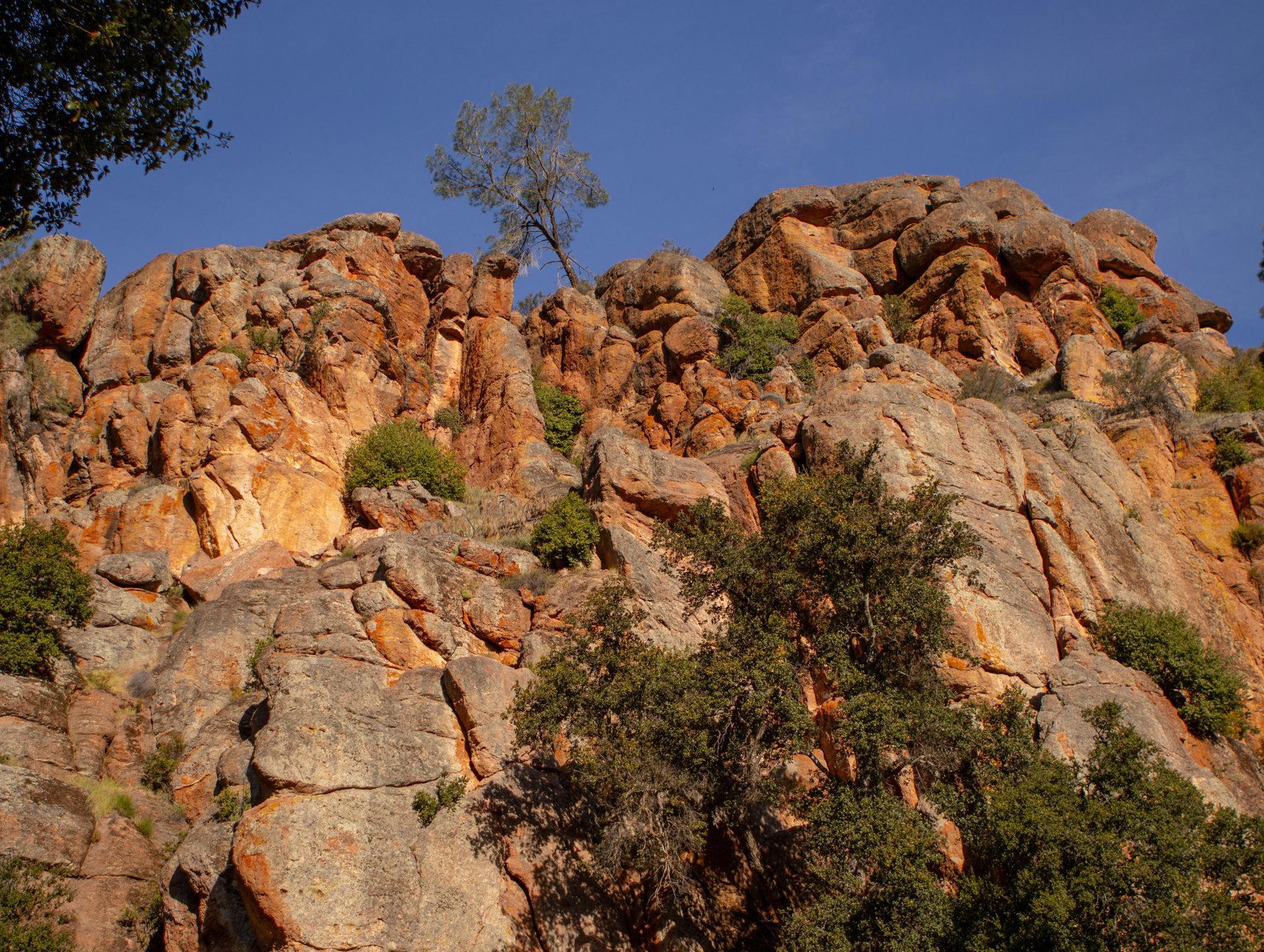 Rocky orange-brown cliff face with sparse green shrubs under a clear blue sky