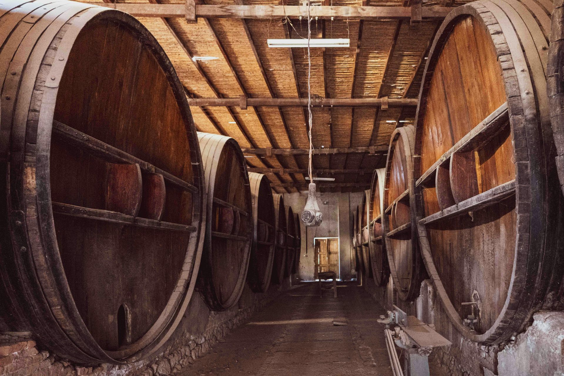 Inside a wine cellar, rows of large wooden barrels line a rustic arched hallway.
