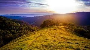 Golden hilltop with trees and bright sun setting over rolling hills and distant mountains.