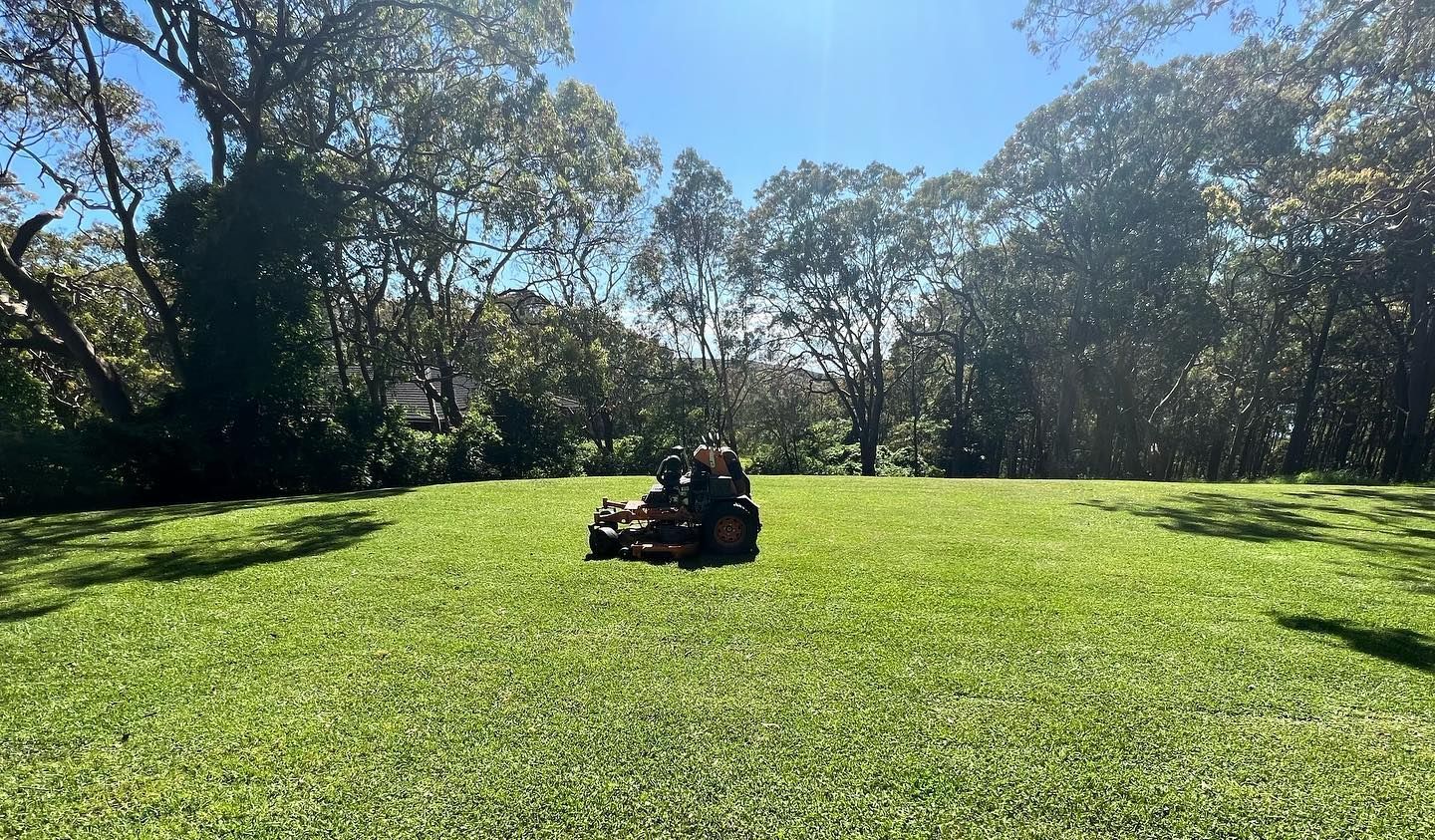 A Backyard With A Fence And A Lot Of Grass — The Local Bloke Lawn & Garden Care In Maitland, NSW