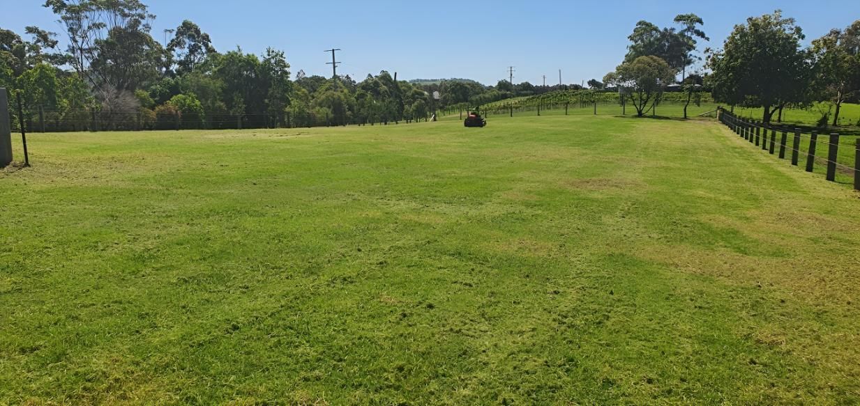 A Large Grassy Field With A Fence And Trees In The Background — The Local Bloke Lawn & Garden Care In Lake Macquarie, NSW