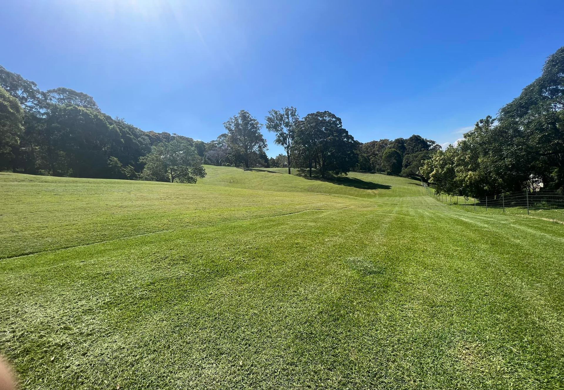Photo of a lush green lawn freshly mowed of a acreage property. The Local Bloke Lawn & Garden Care In Maitland, NSW