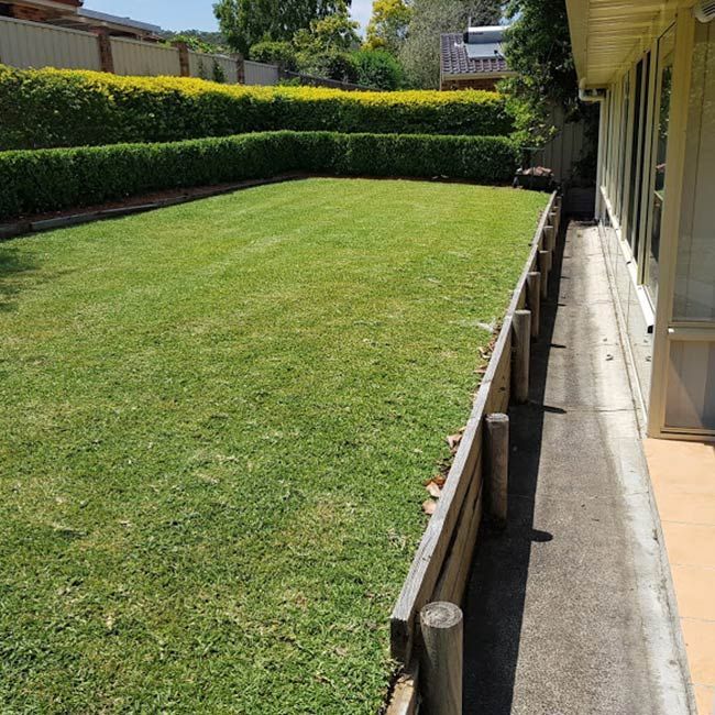 A Nice Green Lawn With A Wooden Fence In Front Of A House — The Local Bloke Lawn & Garden Care In Lake Macquarie, NSW