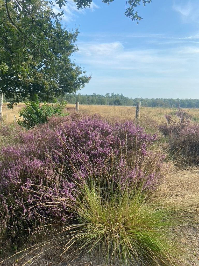 Located near beautiful nature