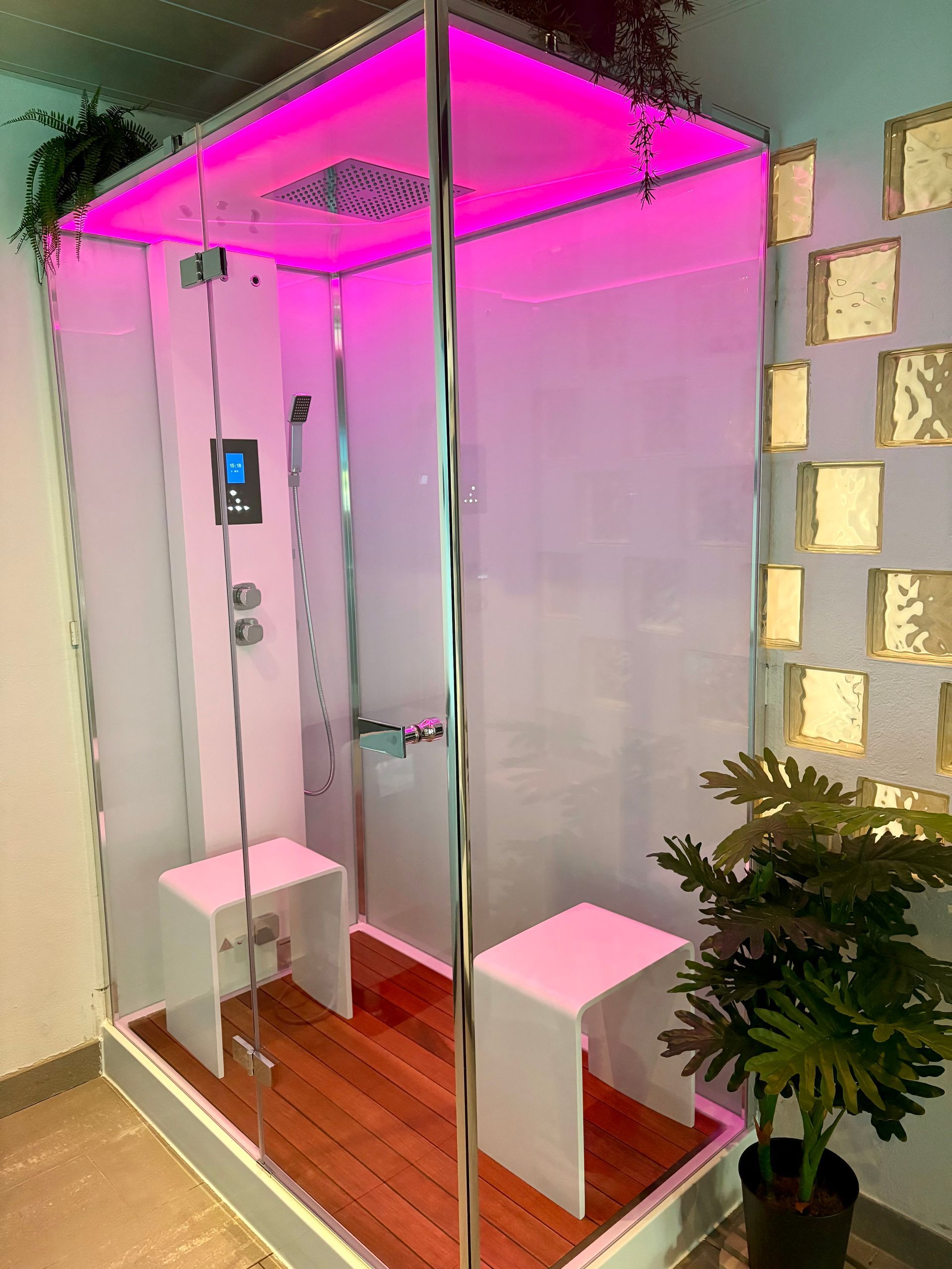 Luxe steam shower