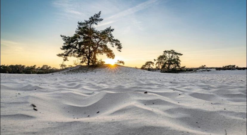 Close to the dunes