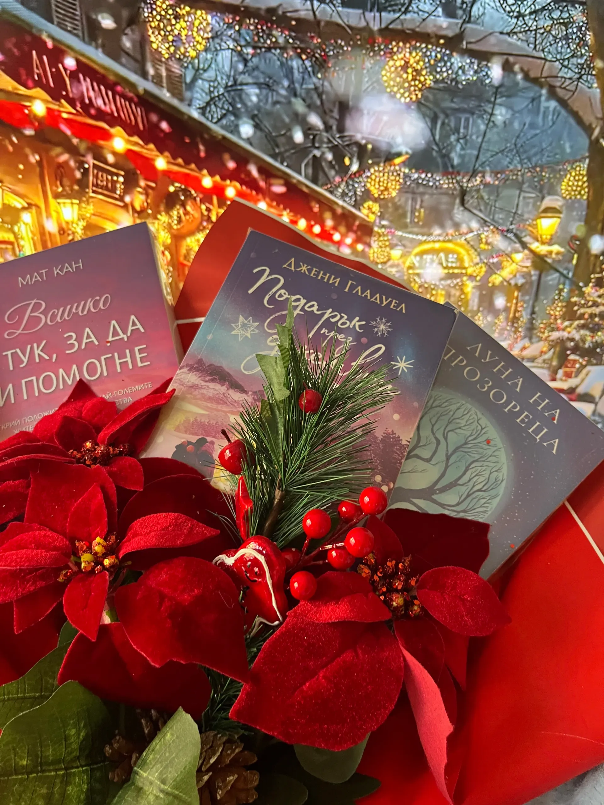 КНИЖЕН БУКЕТ ЗА КОЛЕДА