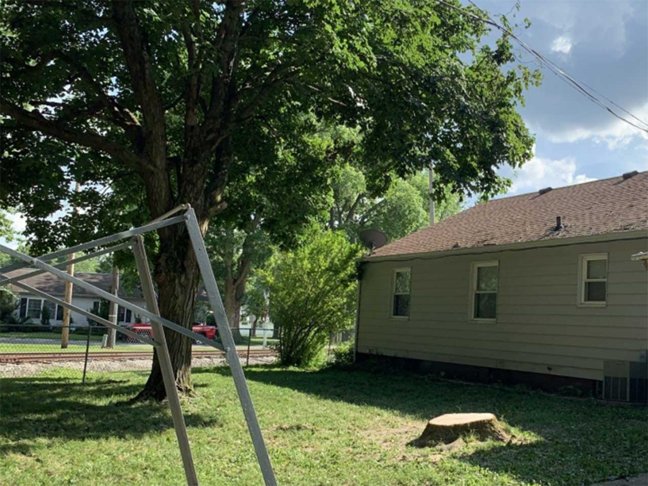 Tree removal services in Lakeland, FL