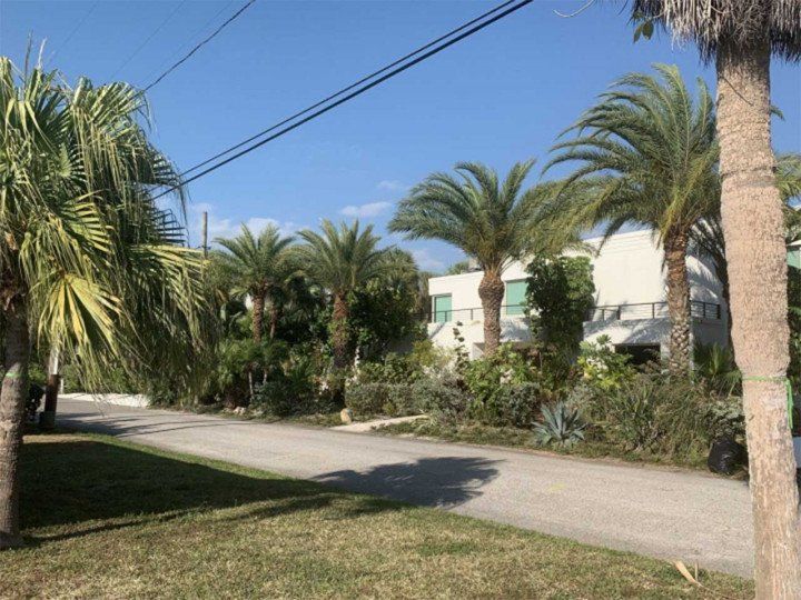 Tree trimming services in Lakeland, FL
