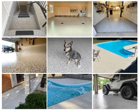 A collage of pictures shows a dog a garage and a pool