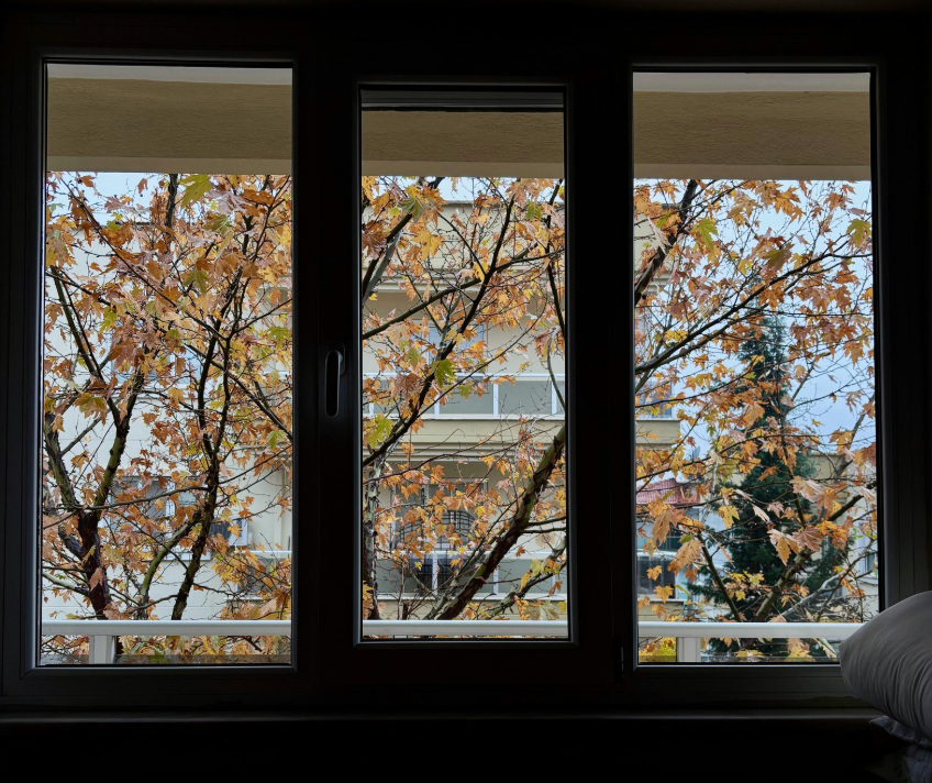 interior window cleaning victoria bc