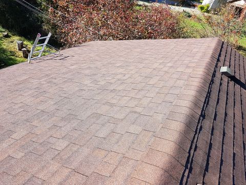 vancouver island moss removal