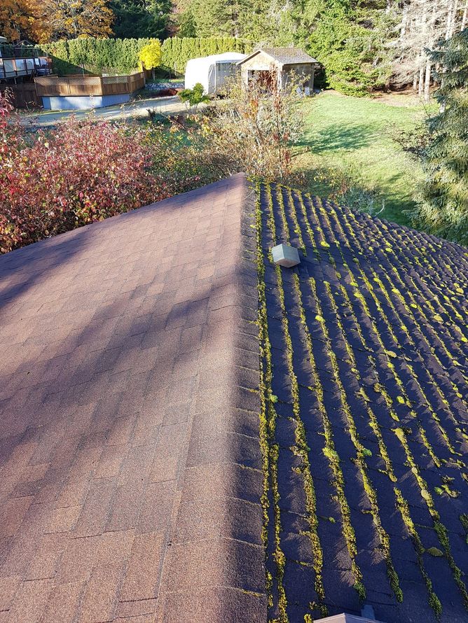 before and after roof demossing victoria bc