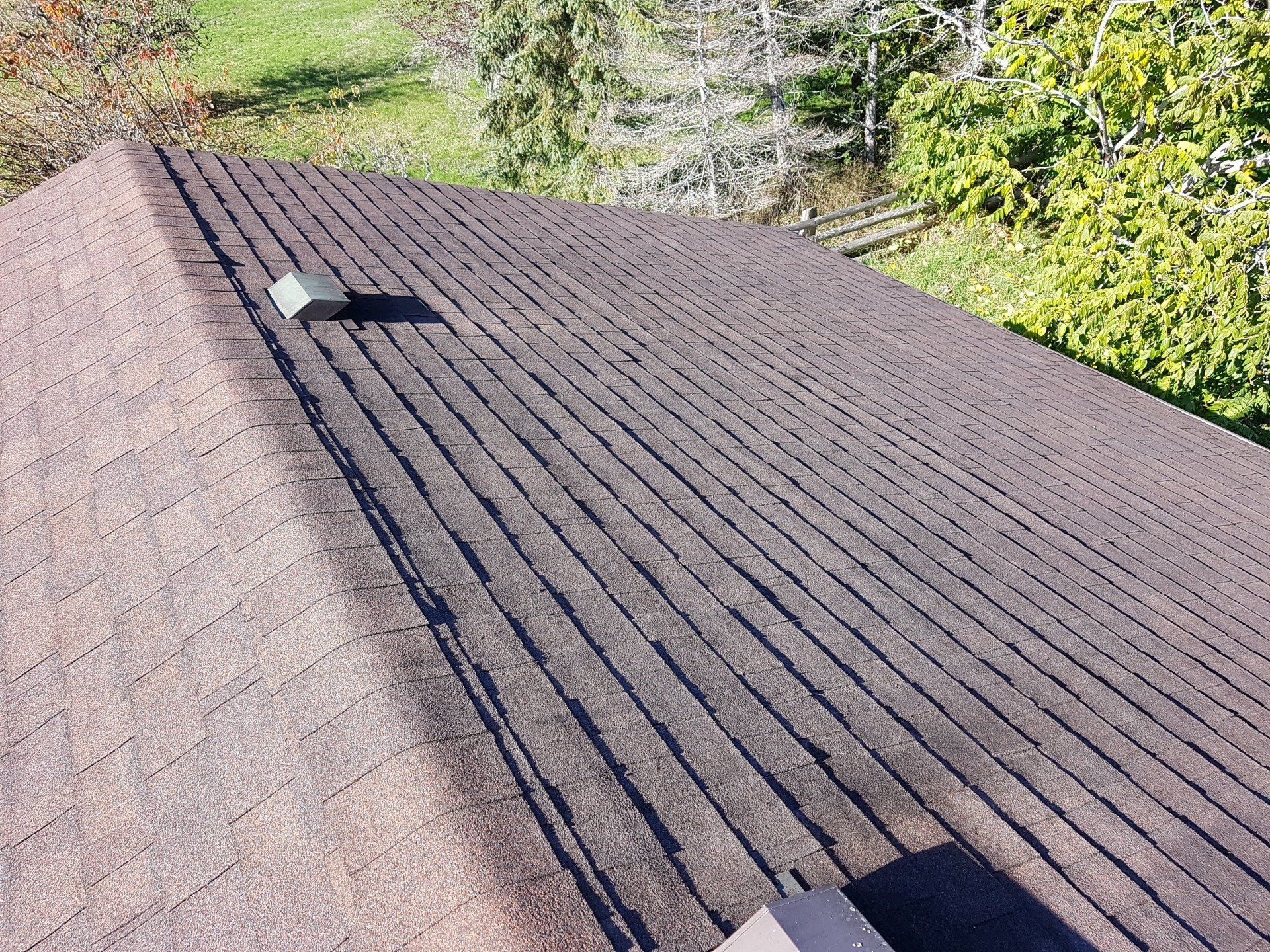 gutter cleaners and window washers burnaby bc
