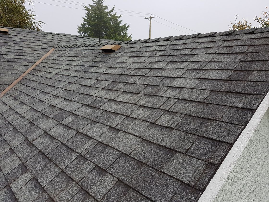 roof moss removal victoria bc