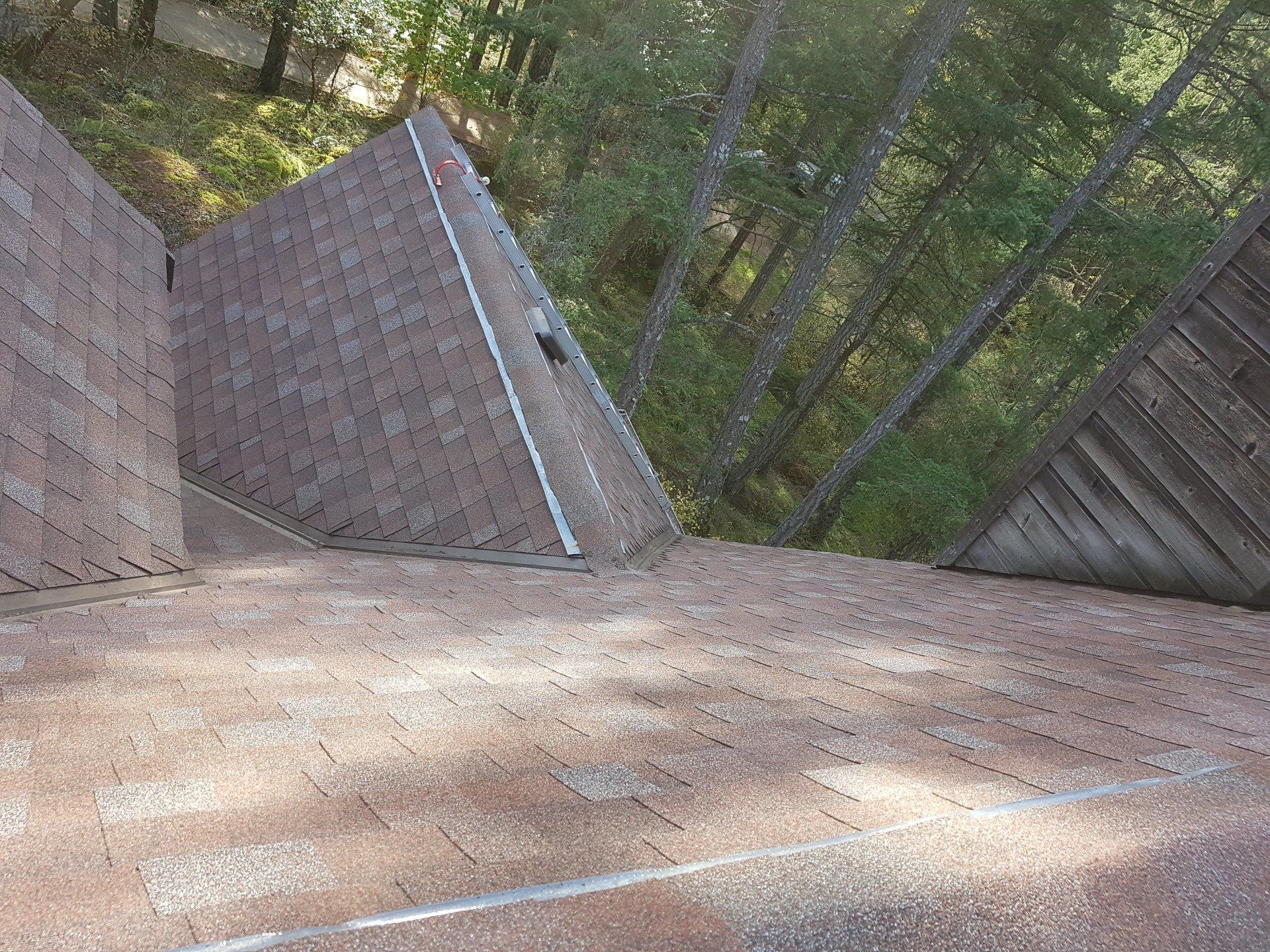 victoria roof cleaning service