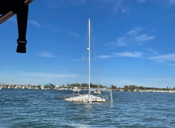 Catamaran sailboat on calm water under a clear blue sky, with a shoreline in the distance.