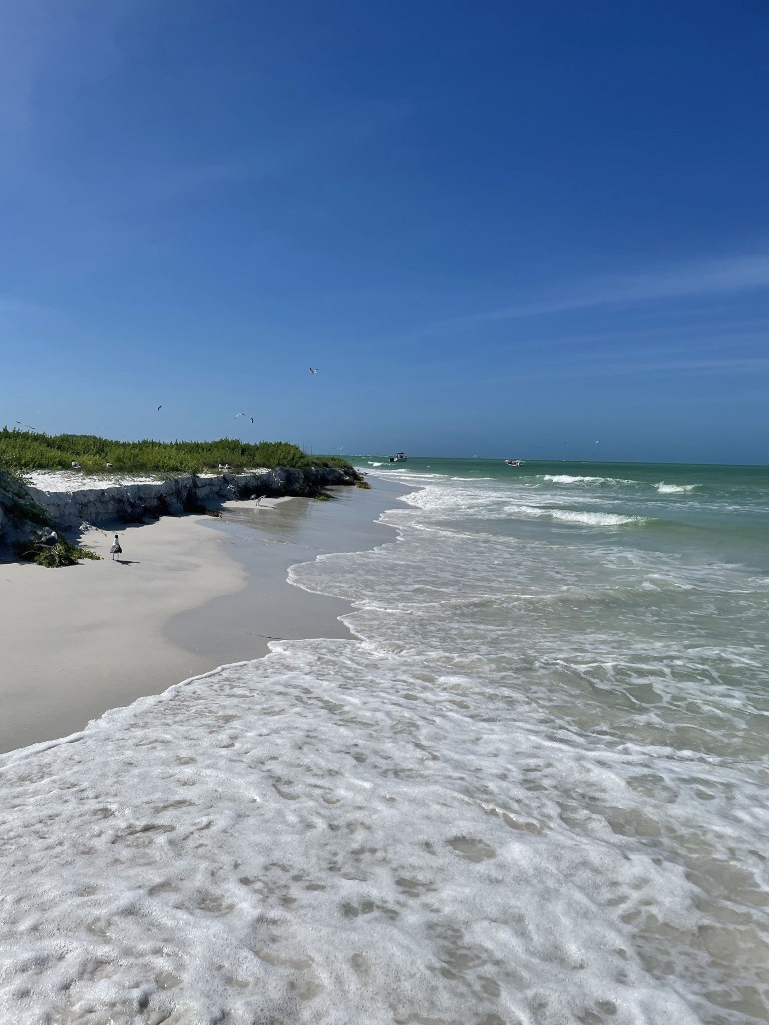 A beach with waves crashing against the shore on a sunny day