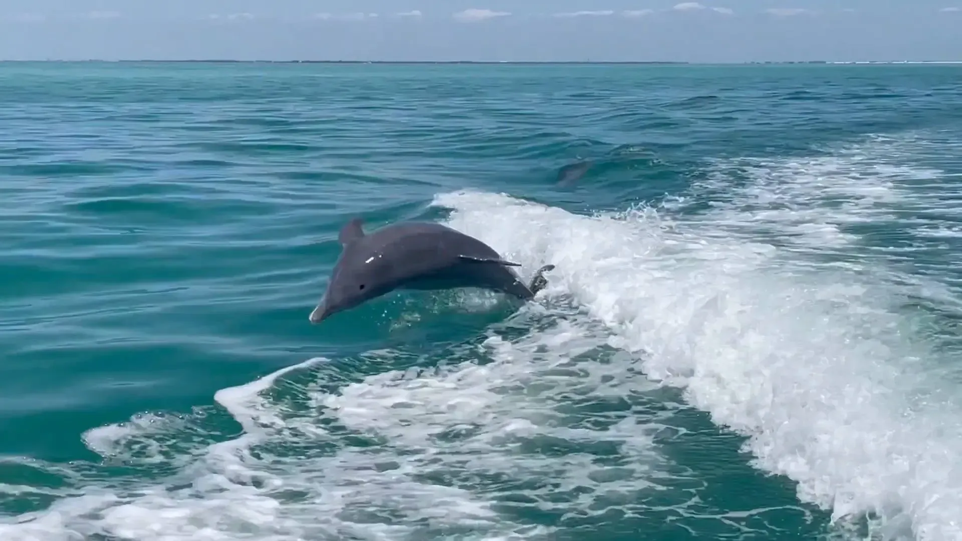 A dolphin is jumping out of the water in front of a boat.
