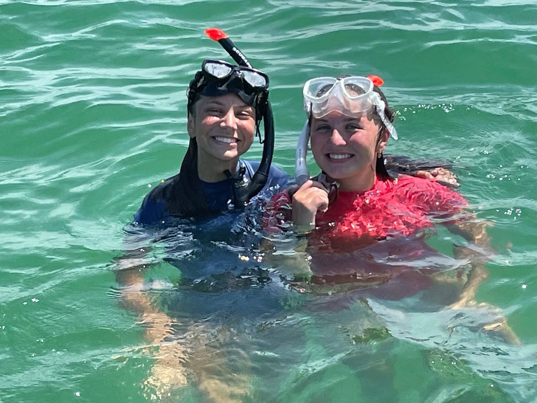Two dolphin swimming on the beach