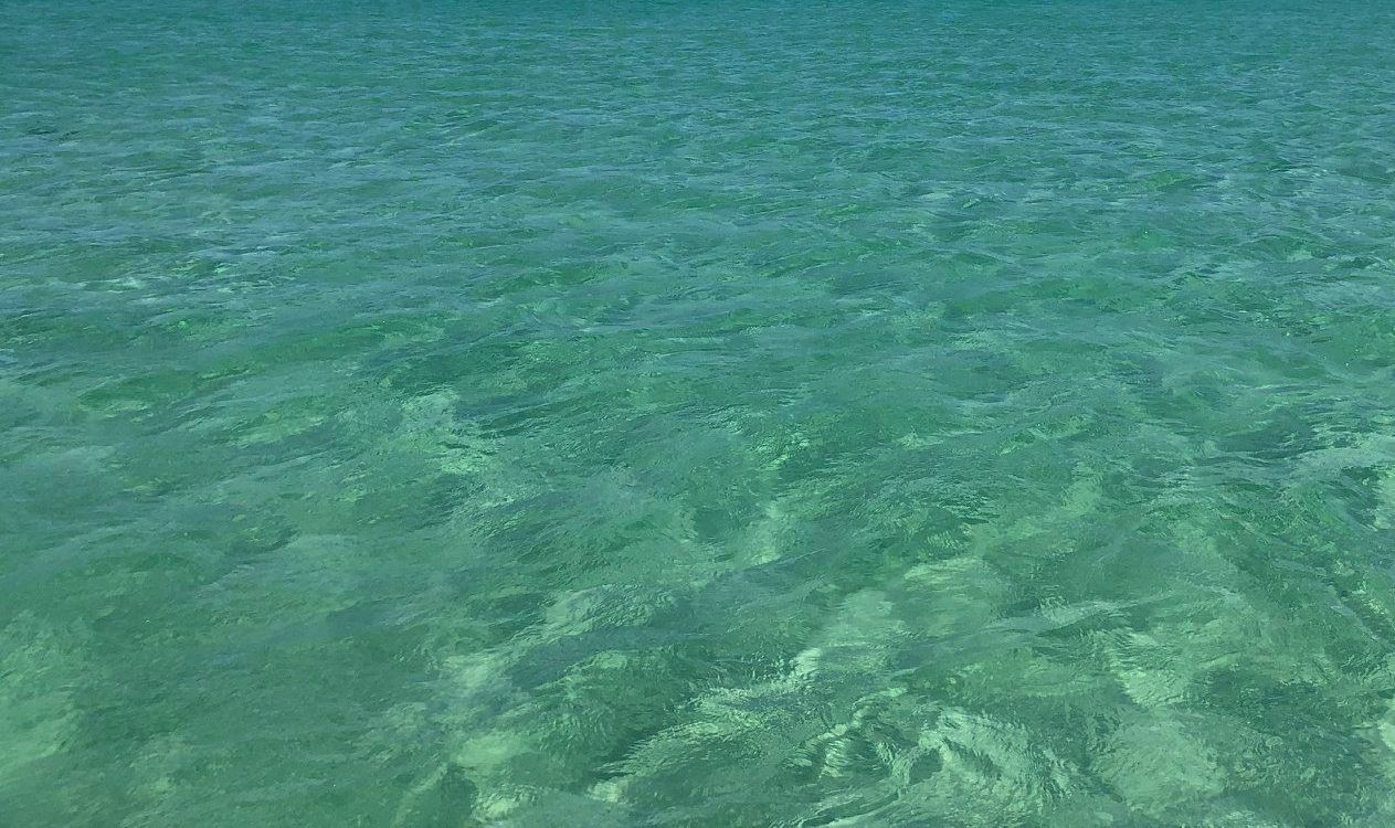 Clear turquoise ocean water with gentle ripples and sunlight reflecting on the surface