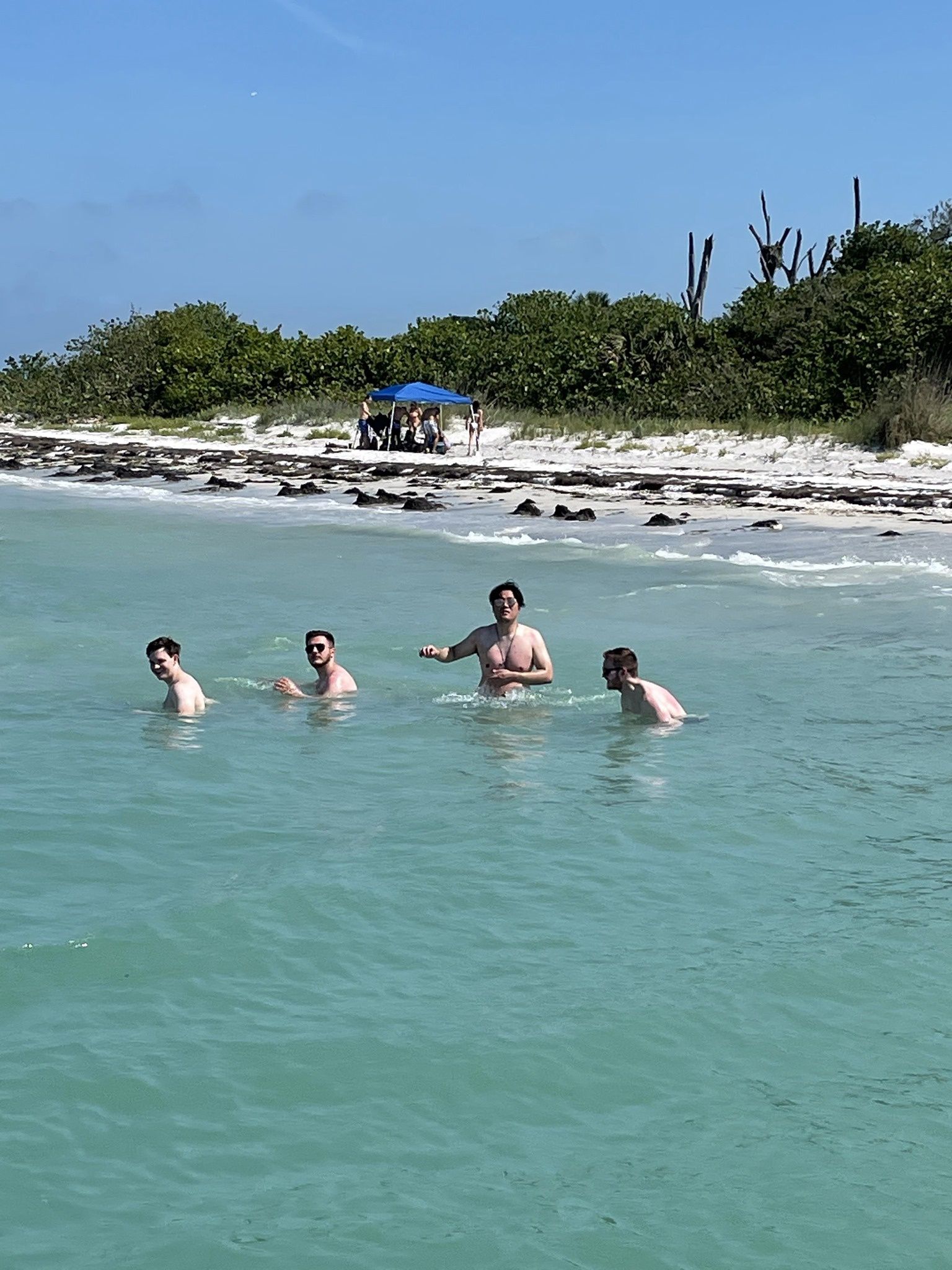 Four people swimming in clear turquoise water near a beach. The beach has white sand and green foliage.