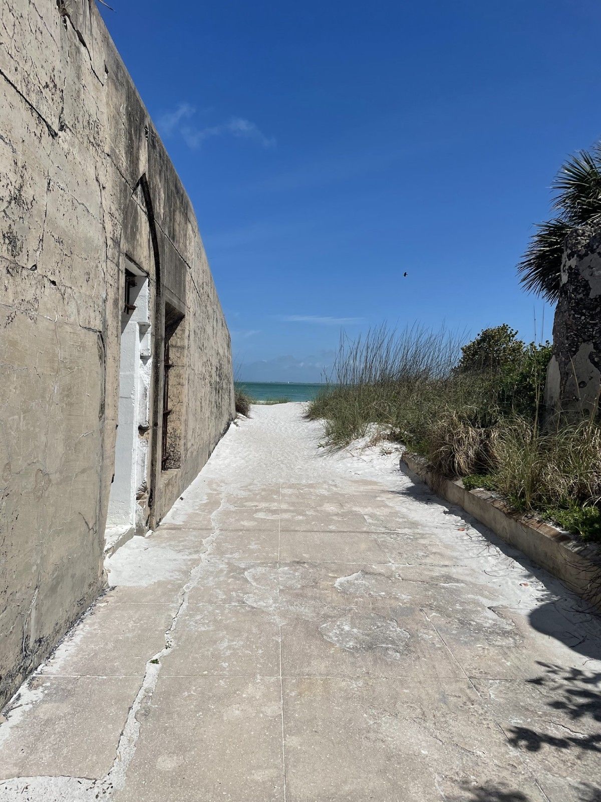 A concrete walkway in Egmont Key