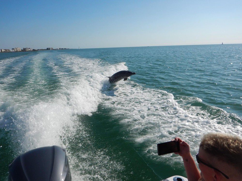 A man is taking a picture of a dolphin jumping out of the water