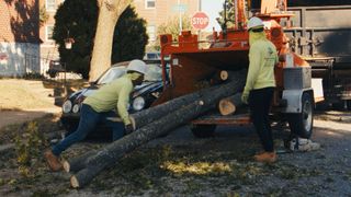 Tree Care Services | Four Brothers Tree Services Inc. | Bensalem, Pennsylvania