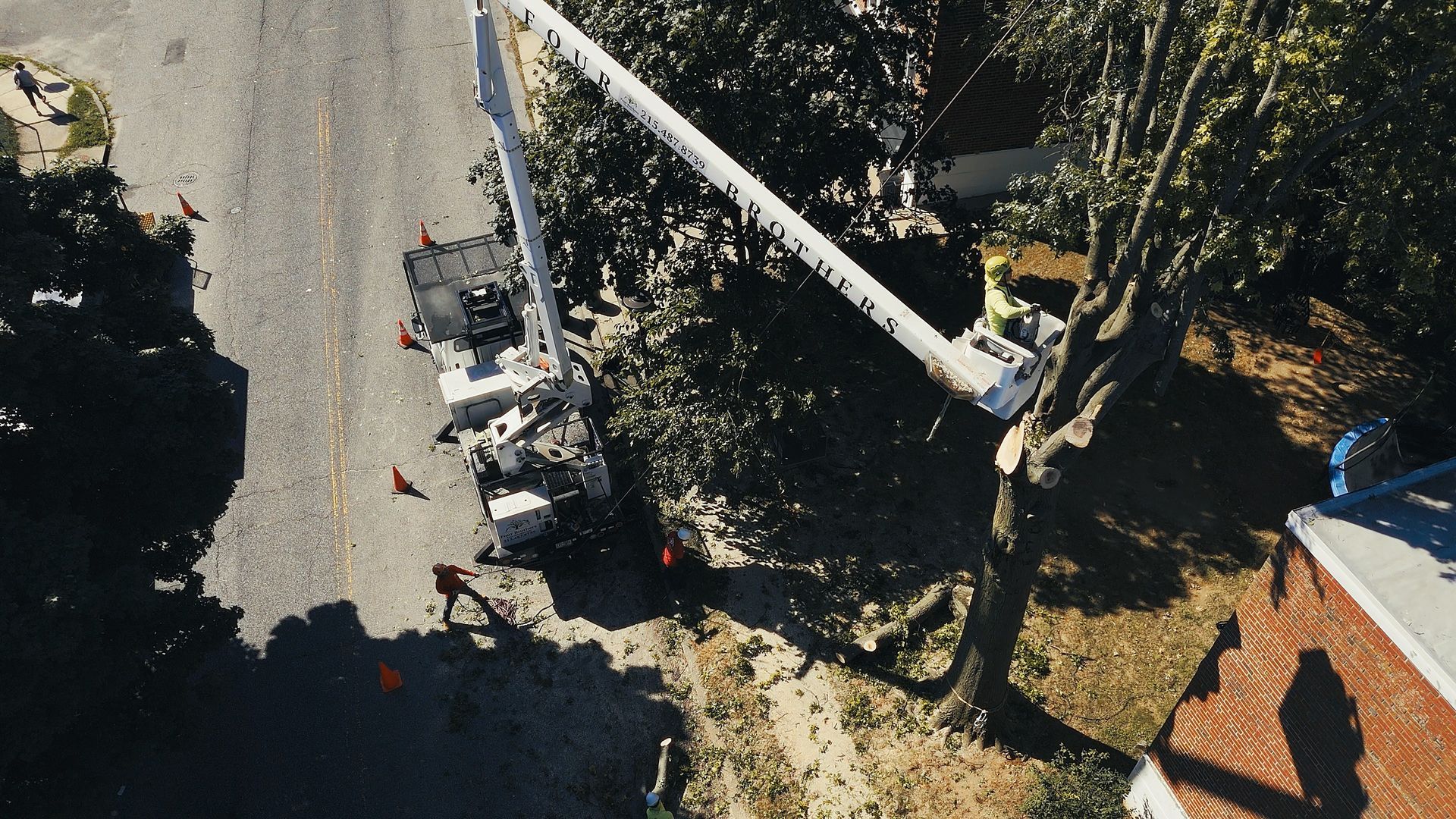 An aerial view of a tree being cut down