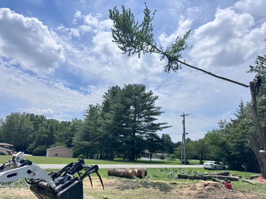 Backyard with a fallen tree branch, excavator arm, and cloudy blue sky over a suburban street