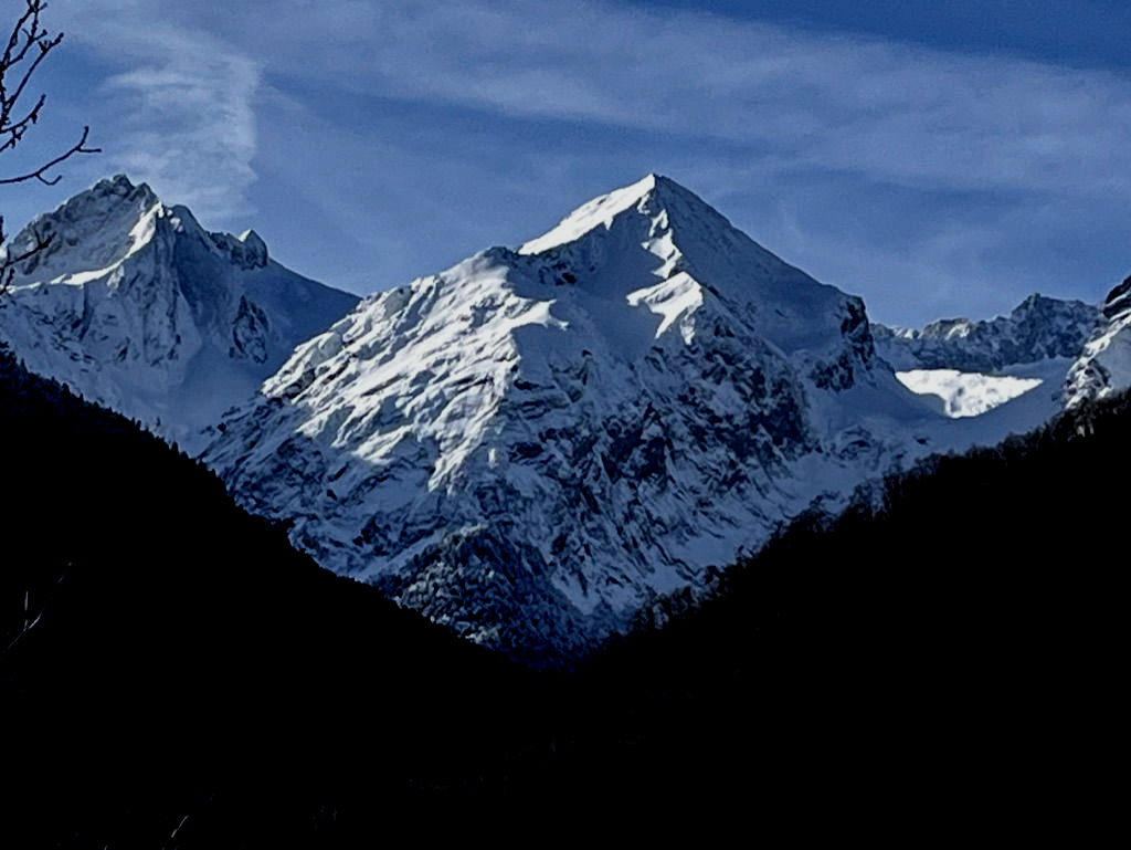Cumbres montañosas cubiertas de nieve bajo un cielo azul claro, con laderas boscosas oscuras en primer plano.