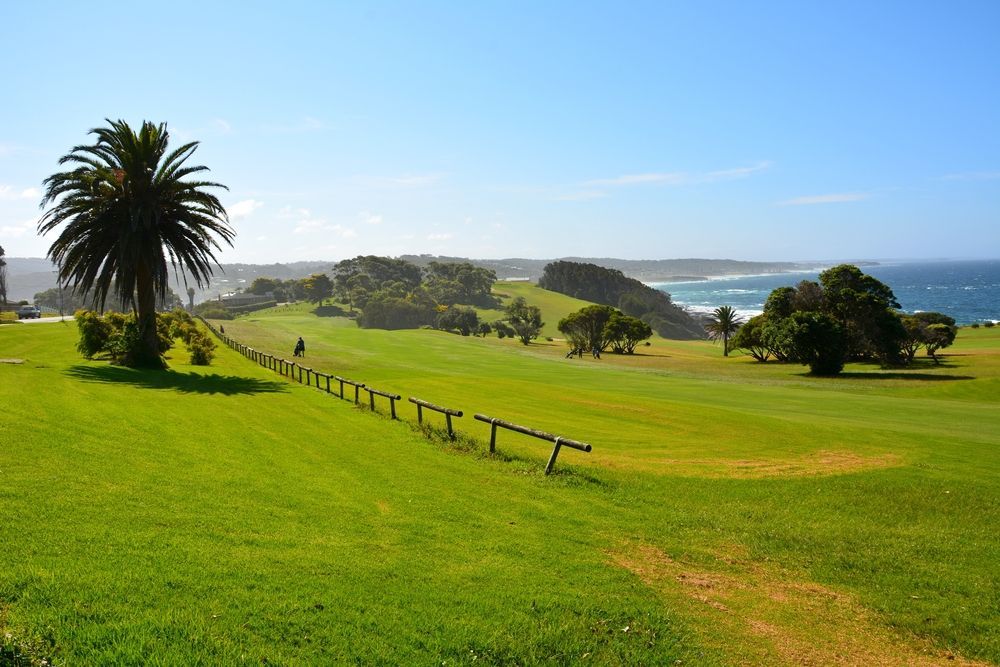 A Grassy Field With A Fence And A Palm Tree — Sew Affordable In Wyong, NSW