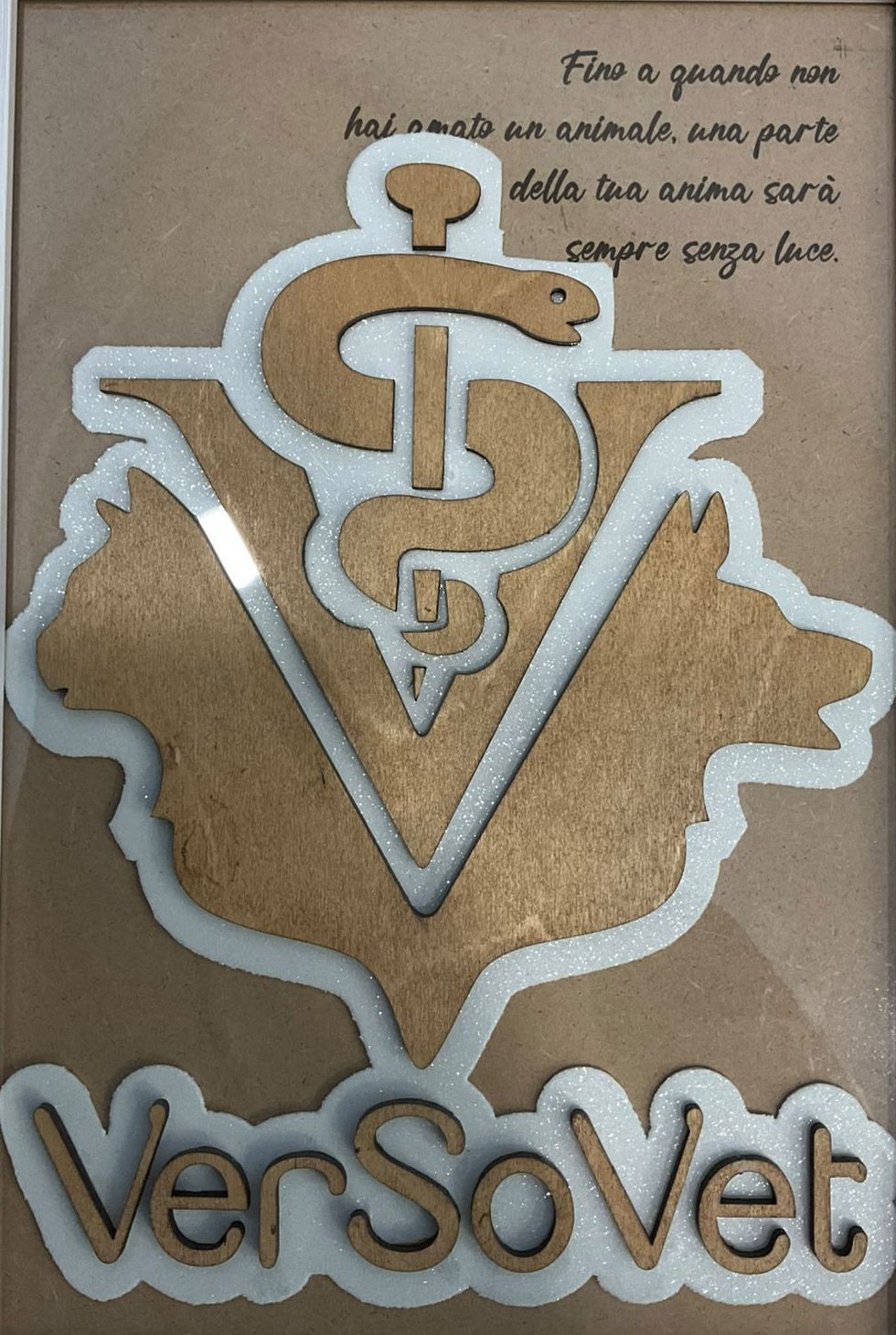 Targa da parete marrone con un emblema medico argentato a forma di caduceo e la parola “VerSovet” in basso