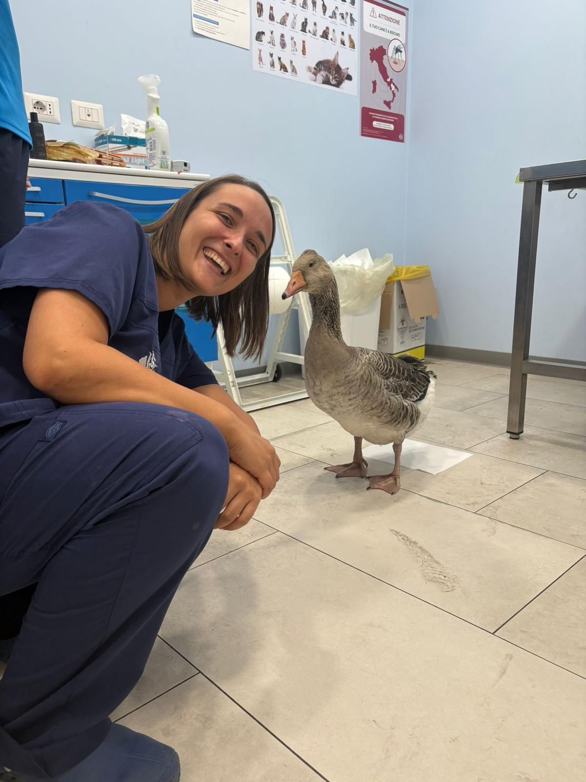 Una donna è accovacciata accanto a un'anatra in una stanza simile a una clinica, e sorride all'uccello.