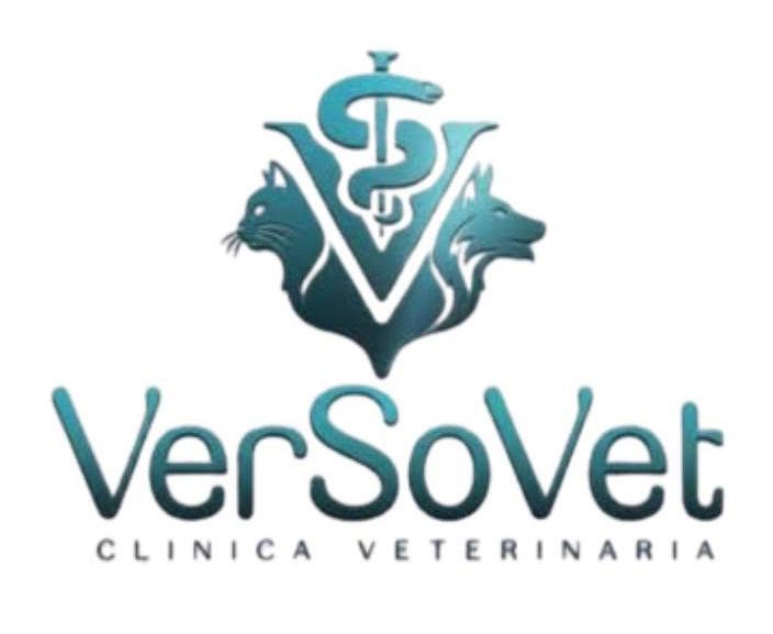 Logo della clinica veterinaria VerSoVet in color verde acqua con teste di cane e gatto attorno a un simbolo medico.
