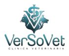 Logo della clinica veterinaria VerSoVet nei colori verde acqua e grigio, con emblema stilizzato di animale domestico e di ambito medico.