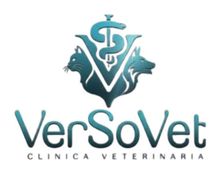 Logo della clinica veterinaria VerSoVet nei colori verde acqua e grigio, con emblema stilizzato di animale domestico e di ambito medico.