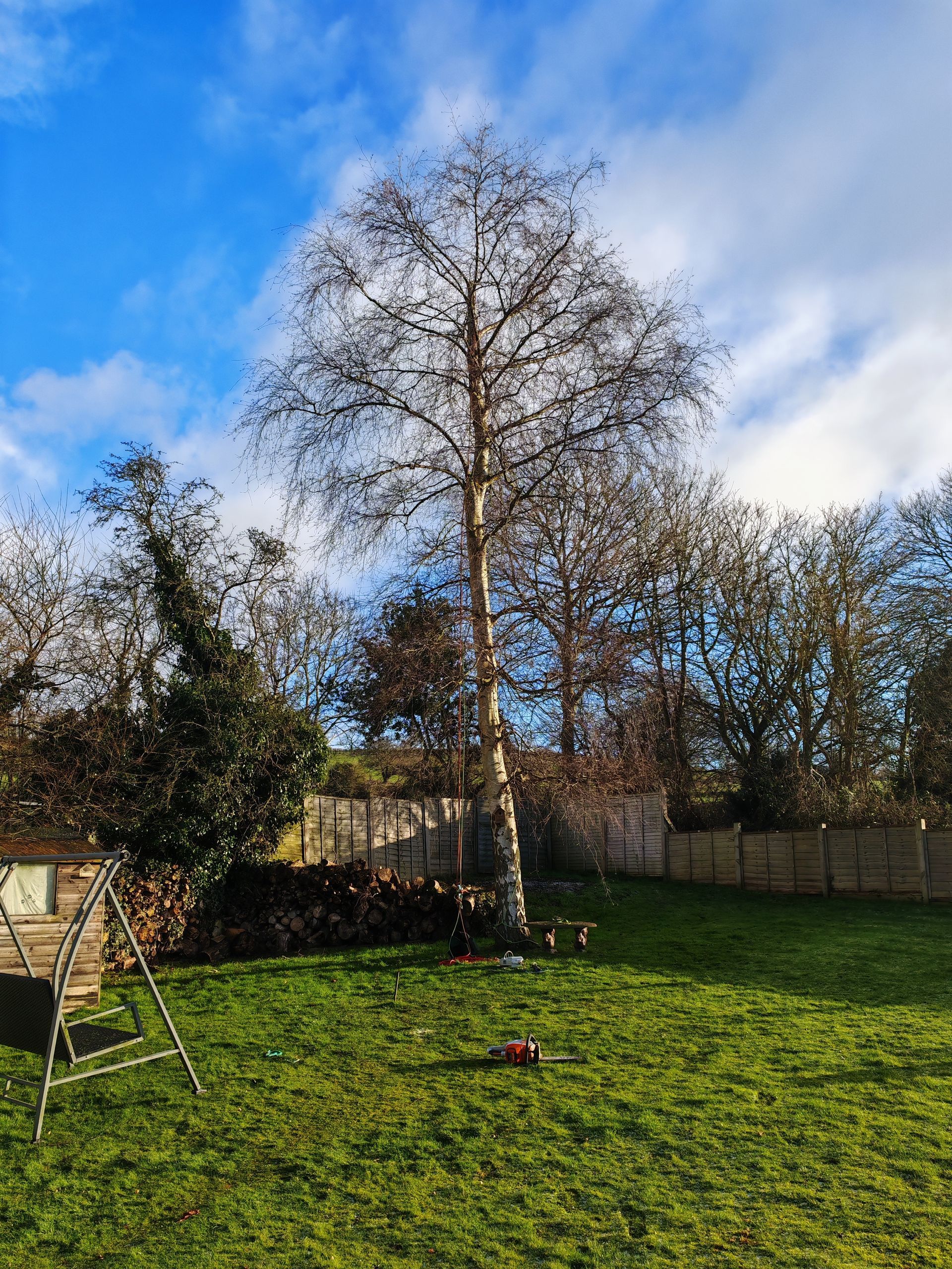 after crown reduction sleights, scarborough