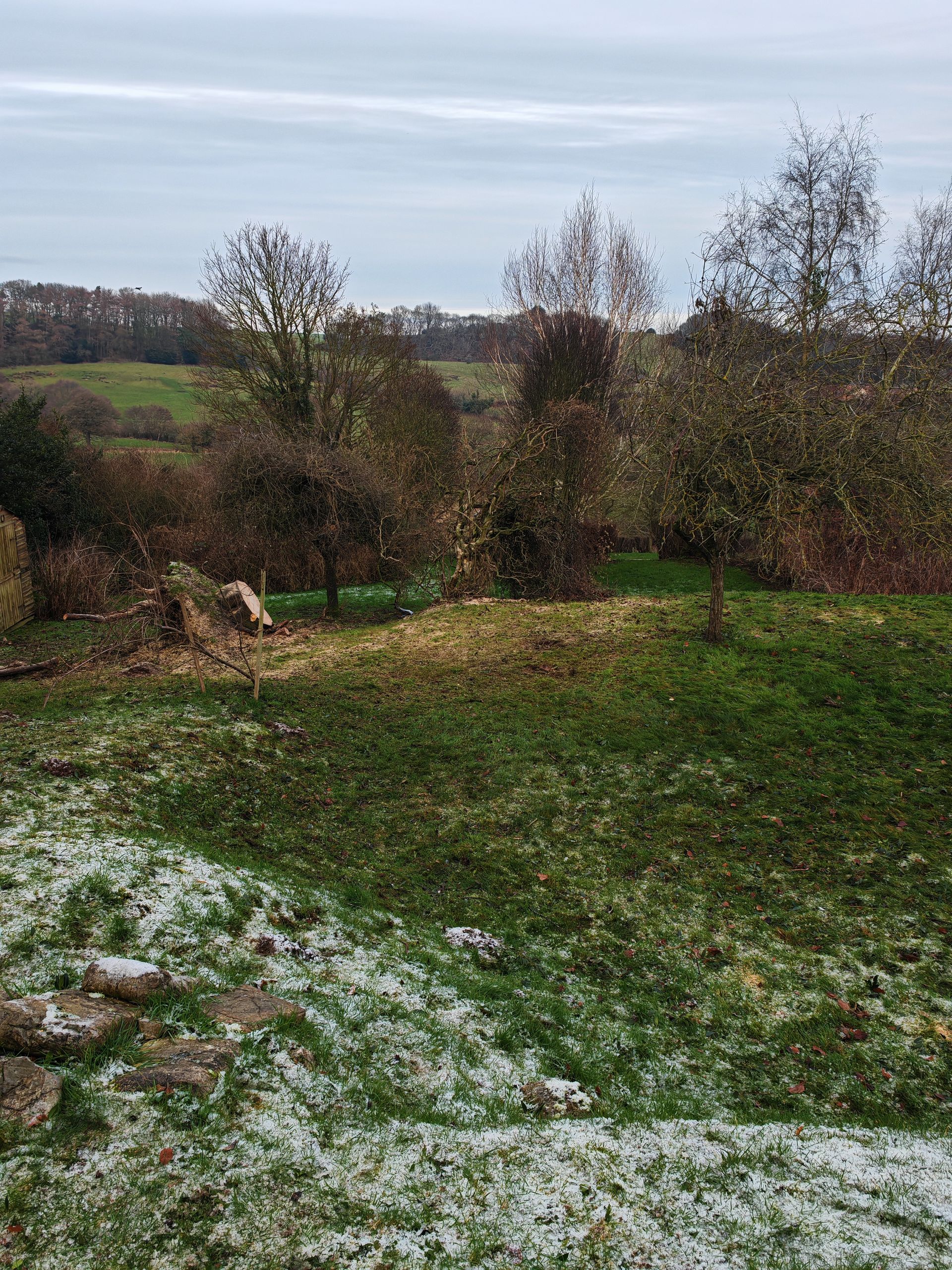 a view of storm damaged tree removal
