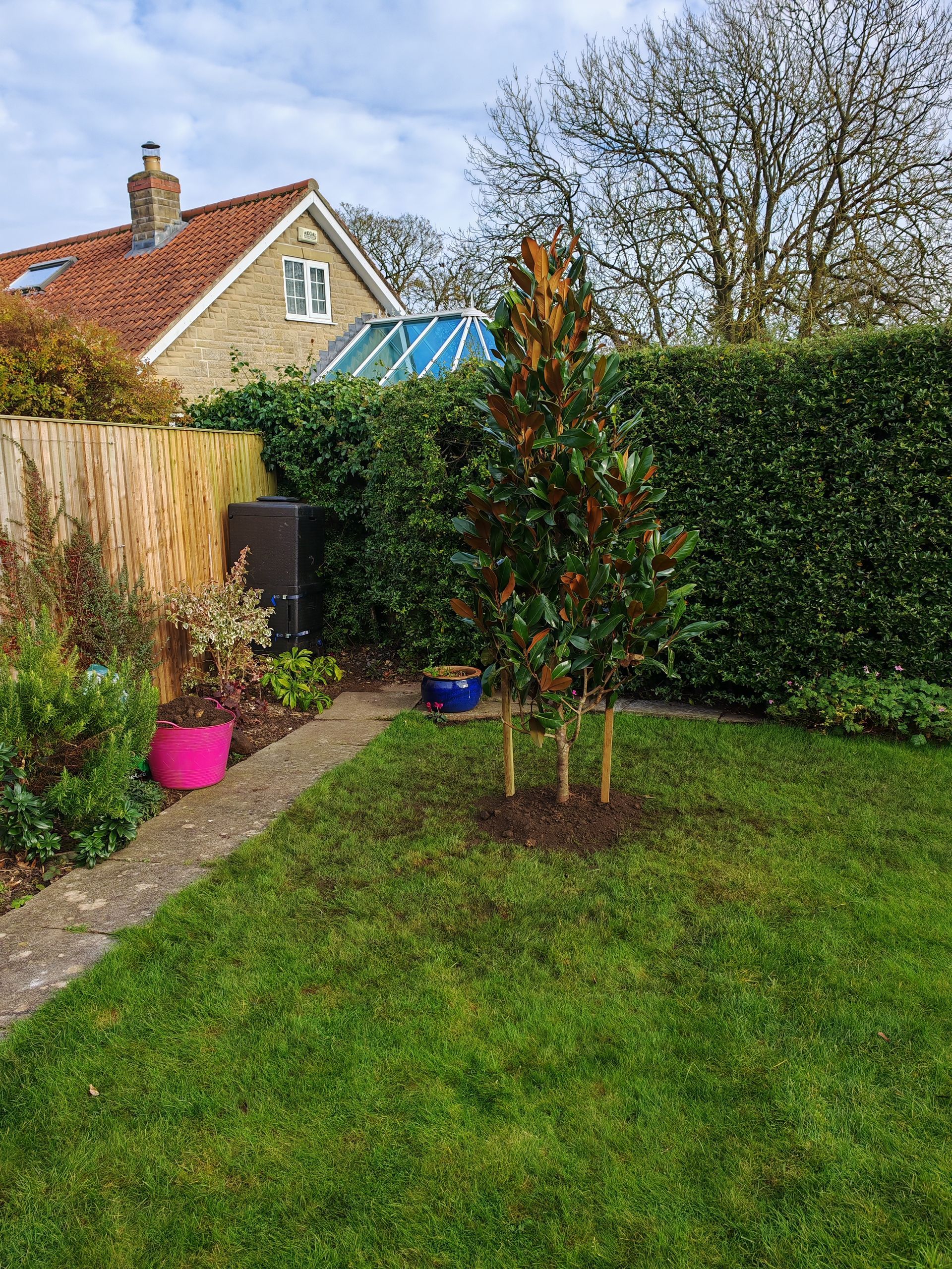 after tree planting east ayton