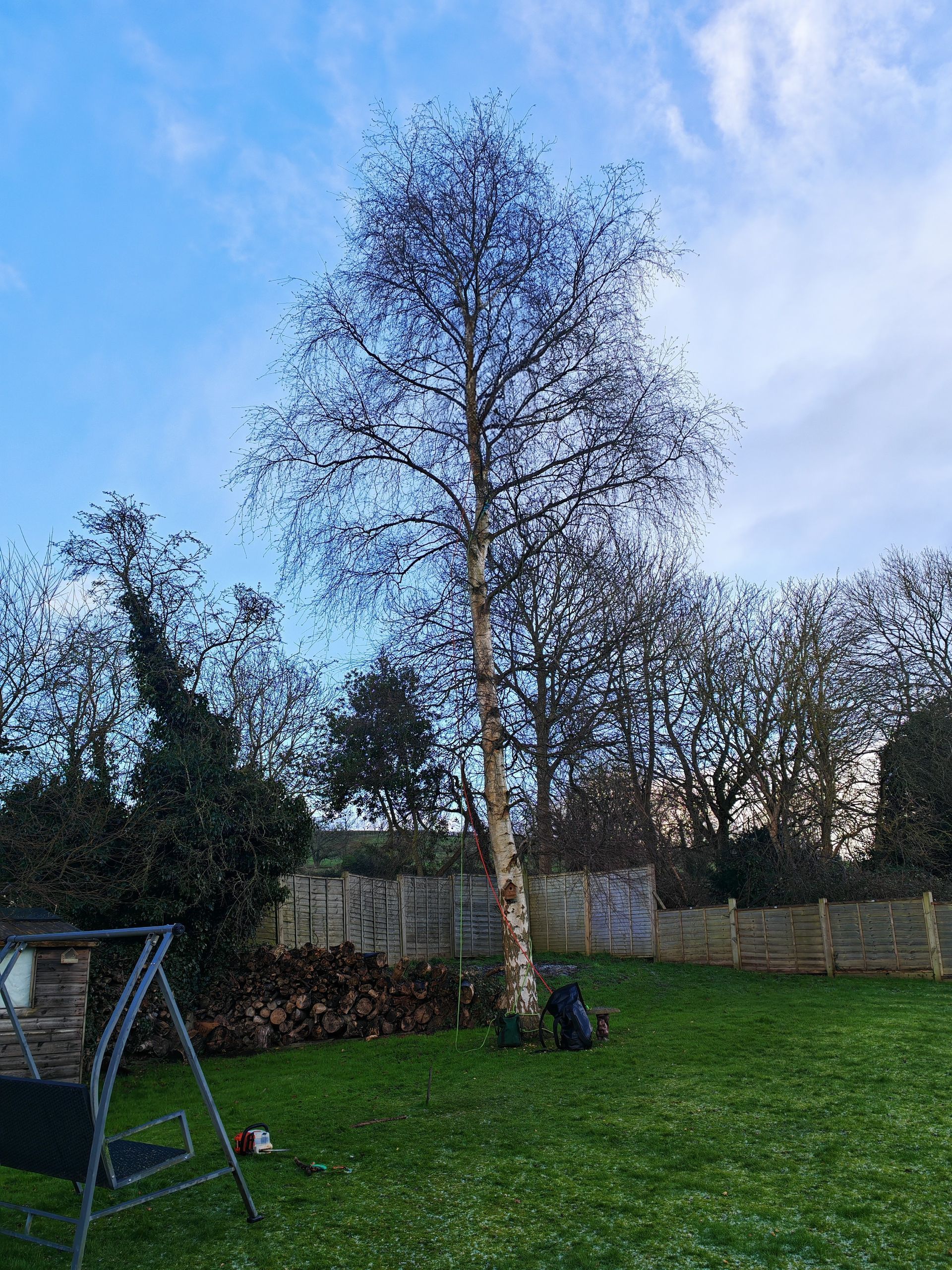 before crown reduction sleights, scarborough