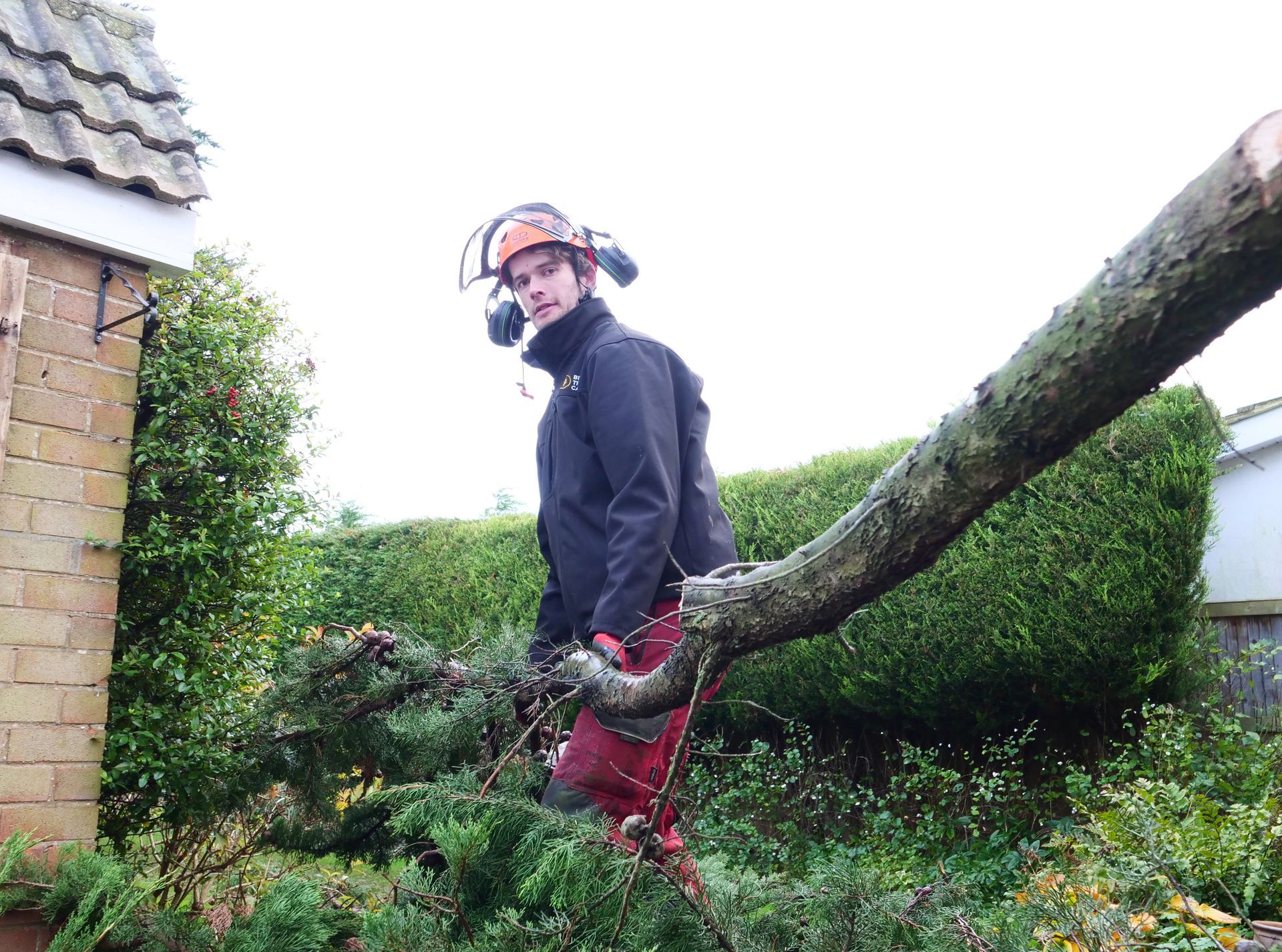 A man is standing on a tree branch in front of a house.