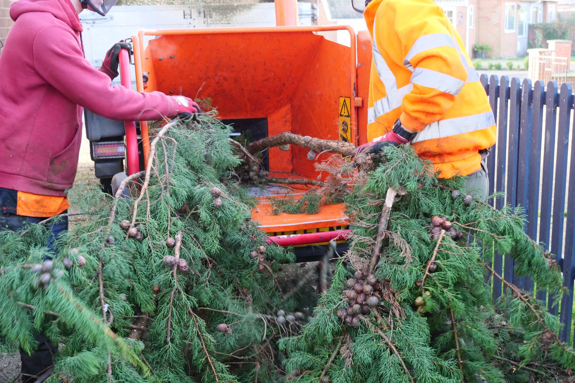 Two men are cutting a tree with a machine.