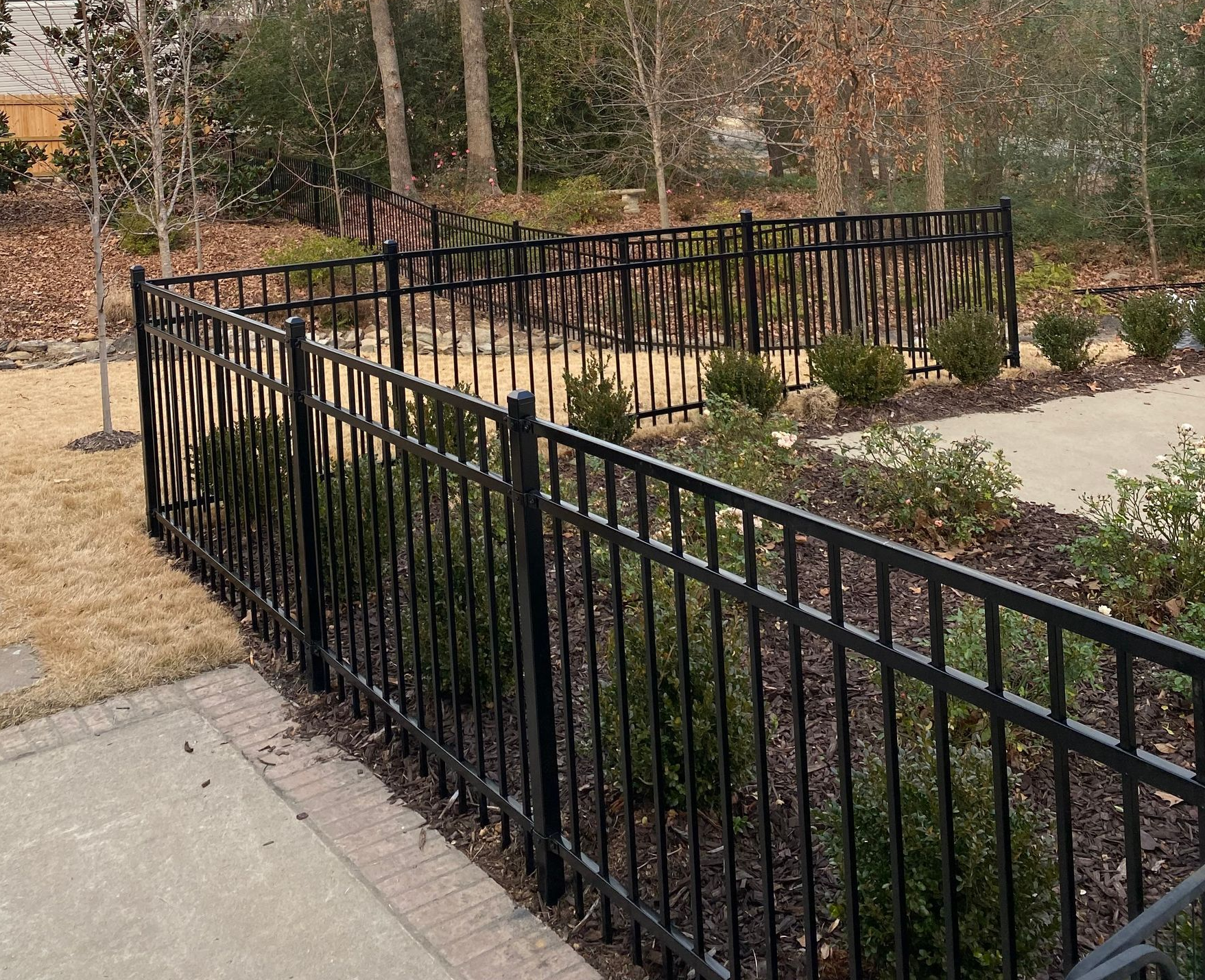 Black metal fence surrounding a garden area with small bushes and trees.