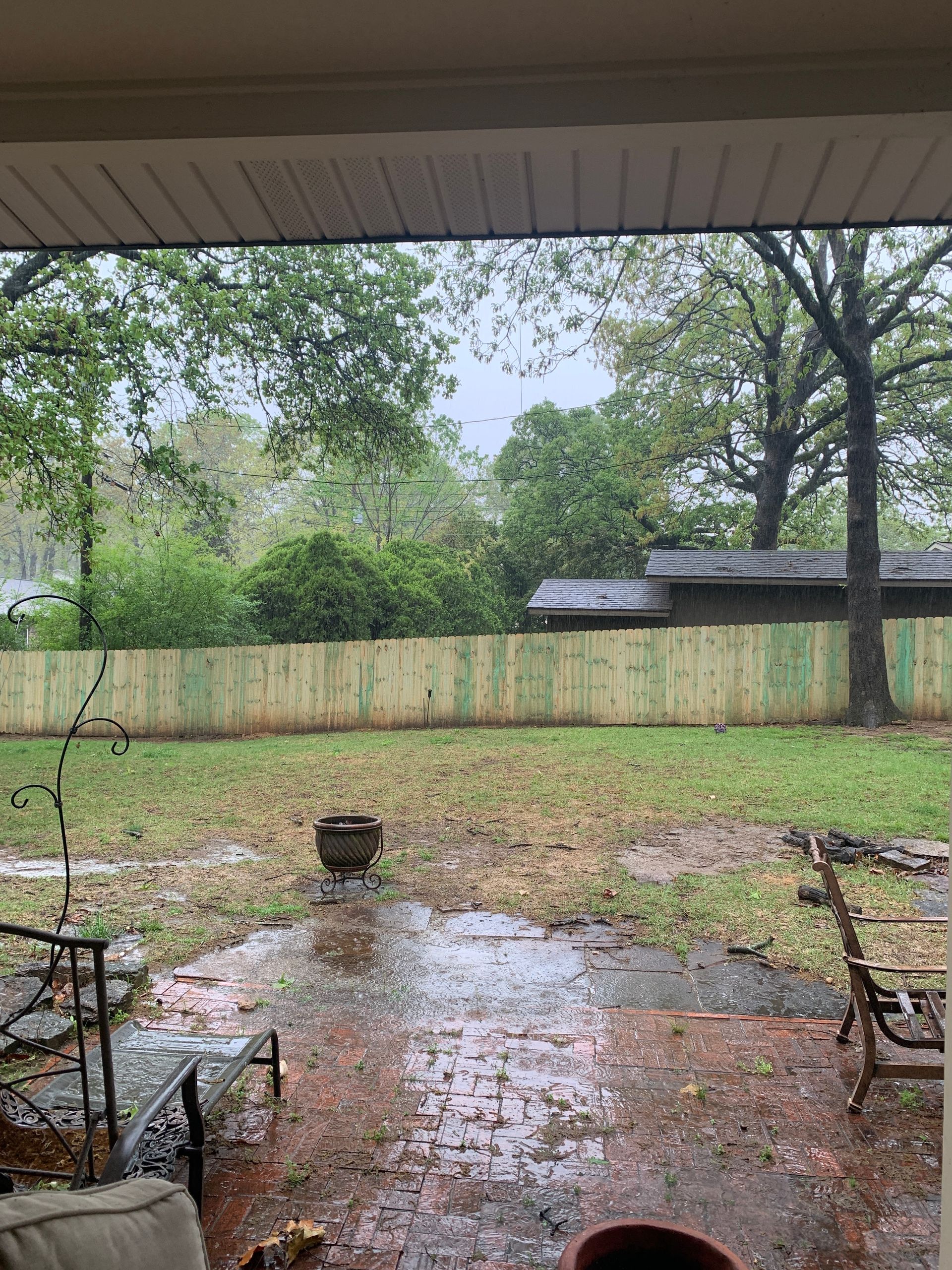 Rainy backyard scene with a wooden fence, wet ground, a potted plant, and trees.