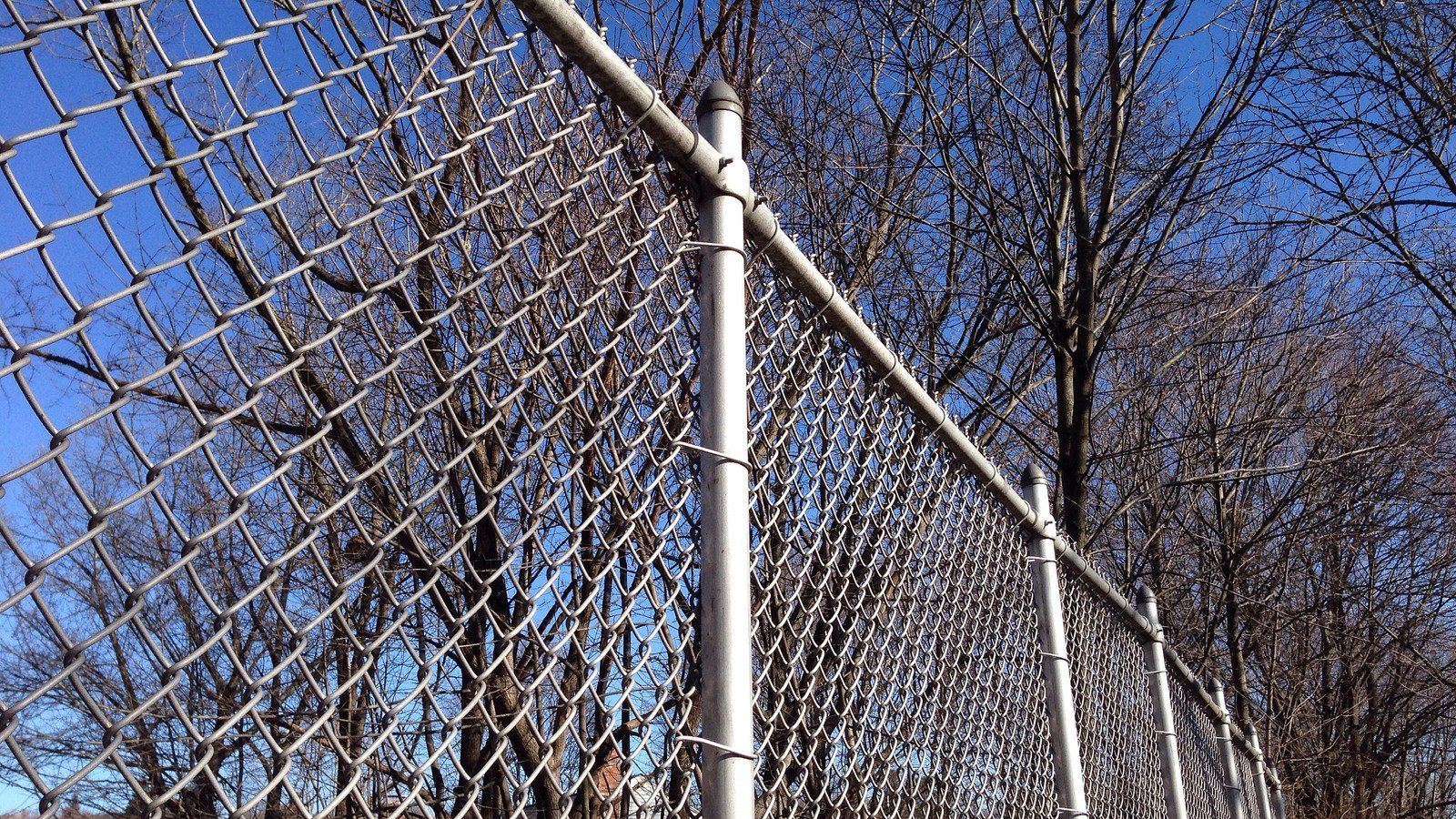 Chain-link fence with a silver top rail against a blue sky, trees in the background.