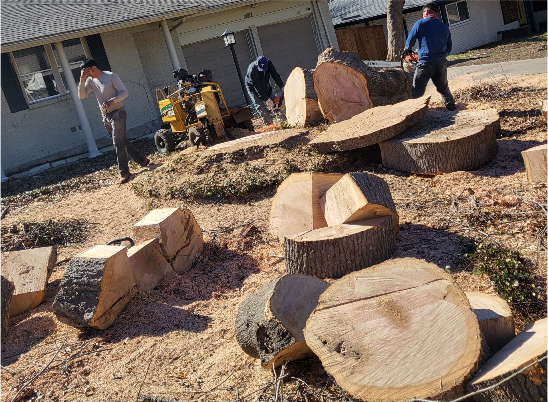 Emergency Tree Service Near Me Salt Lake City