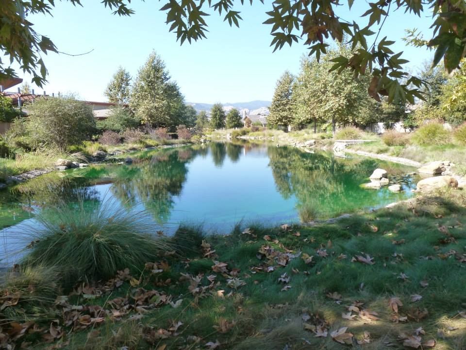 Water Surrounded by Trees and Grass — Carmichael, CA — Elite Ponds